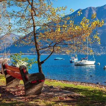 Centro - Happy * Locarno